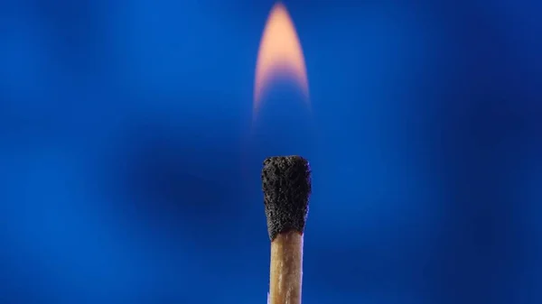 Macro shot of a burning match against a blue studio background. The flame of the burning match illuminates the dark space. The burning match is enveloped in an orange flame