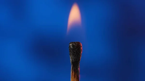 Macro shot of a burning match against a blue studio background. The flame of the burning match illuminates the dark space. The burning match is enveloped in an orange flame