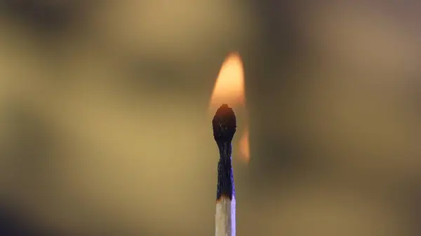 Macro shot of a burning match against a yellow studio background. The flame of the burning match illuminates the dark space. The burning match is enveloped in an orange flame