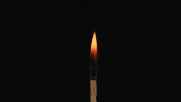 Macro shot of a burning match against a dark studio background. The flame of the burning match illuminates the dark space. The burning match is enveloped in an orange flame