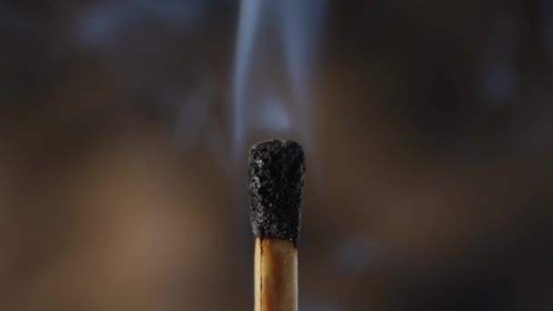 燃烧的火柴显示出一种平稳的熄灭 消失在浓烟之下 这一进程象征着结束 消失和向沉默与安宁的过渡 — 图库视频影像