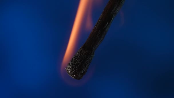 Burning Match Demonstrates Smooth Extinguishing Dims Disappearing Smoke Blue Background — Stock Video
