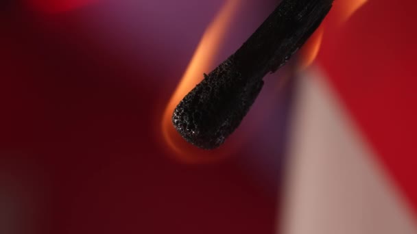 Match Burns Bright Flame Radiating Heat Light Puff Wind Extinguishes — Stock Video