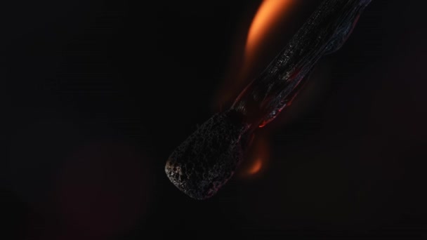 Burning Match Black Background Studio Flame Sizzles Wooden Match Gradually — Stock Video