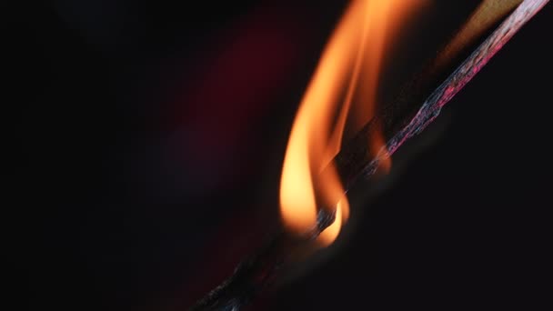 Сожжение Матча Черном Фоне Студии Пламя Зажигает Деревянную Спичку Постепенно — стоковое видео