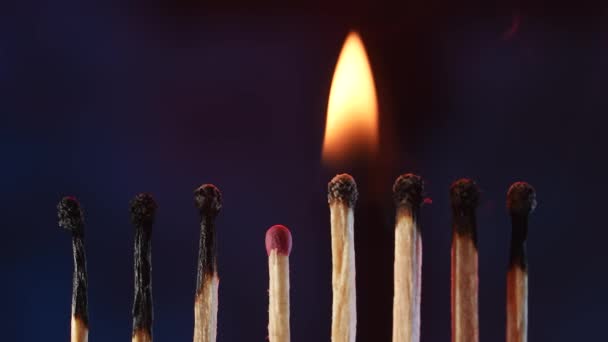 Row Burned Matches One Match Continues Burn Creating Glow Dark — Stock Video