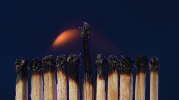 Row Burning Matches Matches Burning Illuminating Dark Studio Space Light — Stock Video