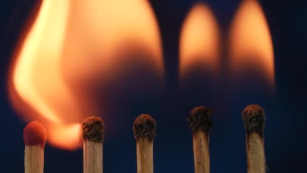 一排火柴 一个人在那里燃起火苗 然后把火传给下一个人 火焰的级联 能量的转移 火焰从一个火柴到另一个火柴的转换的宏观镜头 — 图库视频影像