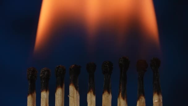 Row Burning Matches Matches Burning Illuminating Dark Studio Space Light — Stock Video