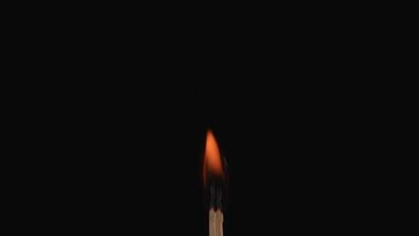Hořící Sirka Demonstruje Hladké Zhasínání Tlumí Mizí Pod Kouřem Proces — Stock video