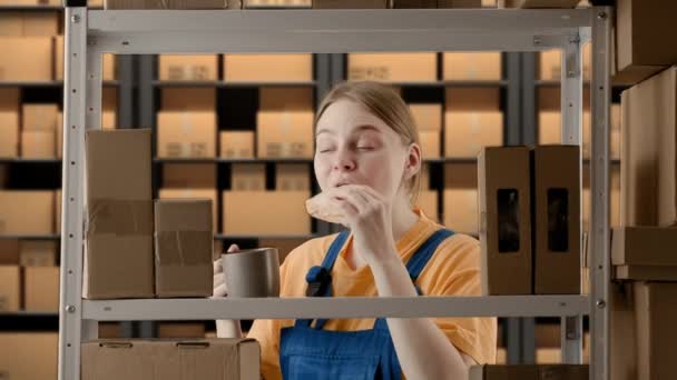 Business Warehouse Logistics Creative Advertisement Concept Portrait Female Working Storage — Stock Video