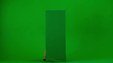 Modern iş kadını yaratıcı reklam konsepti. Krom anahtar yeşil ekranda çekici ofis kızı portresi. Etek ve bluz giymiş bir kadın reklam panosunun arkasına bakıyor..