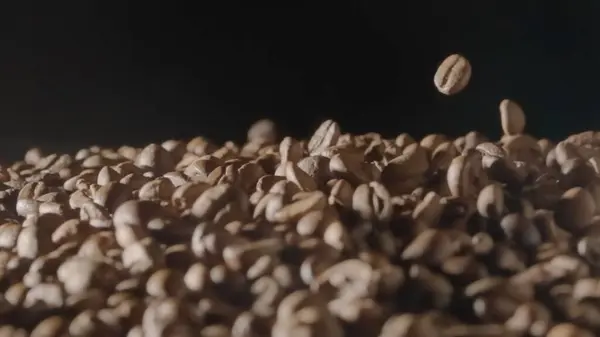 Kahvipavut Putoavat Mustan Studion Pohjalle Flavorful Pavut Tehdä Virkistävä Juoma — kuvapankkivalokuva