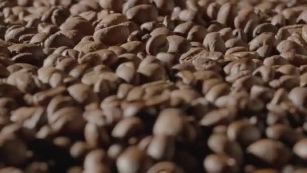 Los Granos Café Marrones Temblando Cerca Proceso Tostado Enfriamiento Granos — Vídeos de Stock