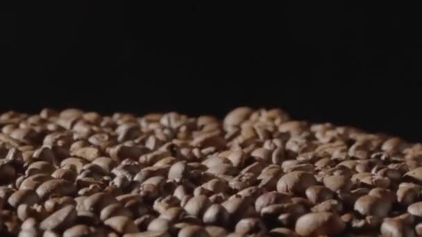 Esmer Kahve Çekirdekleri Siyah Stüdyo Arka Planında Sallanıyor Kızartma Kahve — Stok video