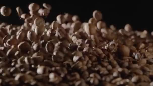 褐色咖啡豆在黑色的背景上摇曳着 在空中飞舞 烘烤或冷却咖啡豆的过程 咖啡店或餐馆的广告概念 — 图库视频影像