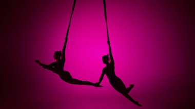 Modern koreografi ve akrobasi yaratıcı reklam konsepti. Pembe neon arka planda izole edilmiş iki kadın akrobatın silueti. Kızlar hava dansçıları ipler üzerinde uçan elementler sergiliyorlar..