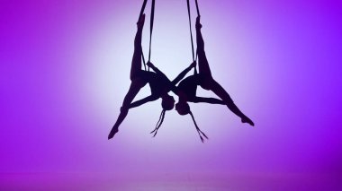 Modern koreografi ve akrobasi yaratıcı reklam konsepti. Mor neon arka planda izole edilmiş iki kadın akrobatın silueti. Kızlar hava dansçıları halatlarda aynalı element sergiliyorlar..