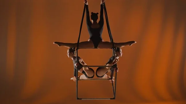 Modern Choreography Acrobatics Creative Advertisement Concept Portrait Female Acrobats Isolated — Stock Photo, Image