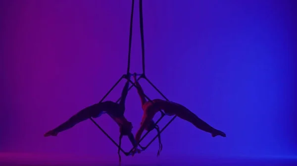 Modern Koreografi Akrobasi Yaratıcı Reklam Konsepti Neon Arka Planda Izole — Stok fotoğraf