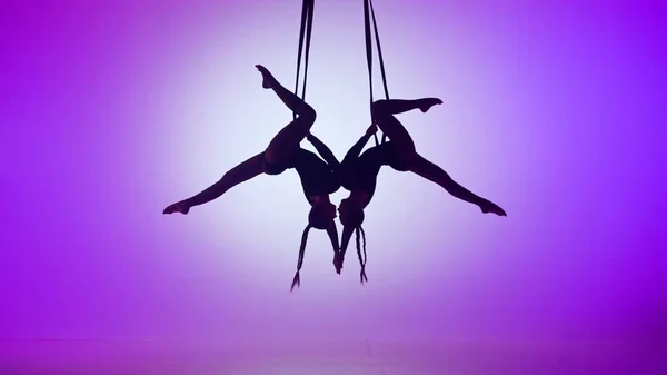 Modern choreography and acrobatics creative advertisement concept. Silhouette of two female acrobats isolated on purple neon background. Girls aerial dancers performing mirrored element on ropes.
