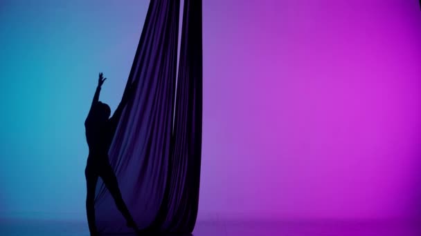 Modern Koreográfia Akrobatika Kreatív Reklám Koncepció Silhouette Női Akrobata Elszigetelt — Stock videók