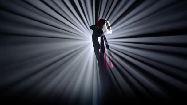 Modern Koreografi Och Akrobatik Kreativ Reklam Koncept Silhuett Kvinnlig Isolerad — Stockvideo