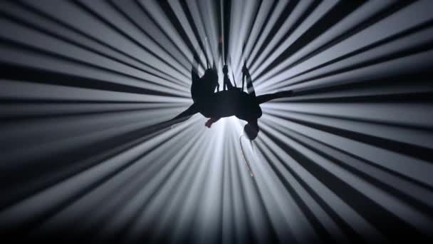 現代の振付とアクロバットクリエイティブ広告コンセプト 黒い背景に隔離された2人の女性ダンサーのシルエット明るいスポットライト エアロープでエレメントを実行する少女空中ダンサー — ストック動画