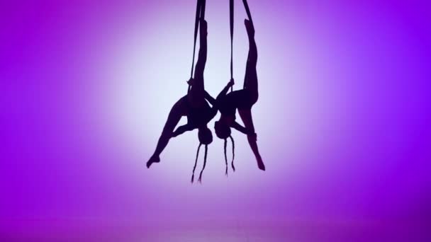 現代の振付とアクロバットクリエイティブ広告コンセプト 紫色のネオン背景に隔離された2人の女性のアクロバットのシルエット ロープにミラーリングされた要素を実行する女の子の空中ダンサー — ストック動画