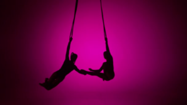 現代の振付とアクロバットクリエイティブ広告コンセプト ピンクのネオンバックグラウンドで隔離された2人の女性のアクロバットのシルエット ロープで飛行要素を実行する少女空中ダンサー — ストック動画