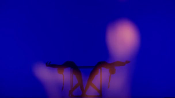 現代の振付とアクロバットクリエイティブ広告コンセプト ブルーネオンの背景で隔離された2人の女性のアクロバットのシルエット キューブでエレメントを実行する女子体操ダンサー — ストック動画