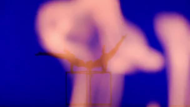 Современная Хореография Акробатика Концепция Творческой Рекламы Силуэт Двух Акробаток Изолированных — стоковое видео