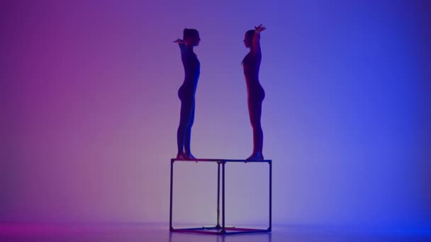Nowoczesna Choreografia Koncepcja Kreatywnej Reklamy Akrobatycznej Sylwetka Dwóch Akrobatek Odizolowanych — Wideo stockowe