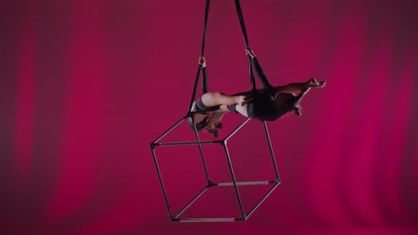 現代の振付とアクロバットクリエイティブ広告コンセプト 赤い背景に隔離された女性のアクロバットの肖像画 女の子空想家ダンサーは ロープでキューブで空中に回転するスプリットで — ストック動画