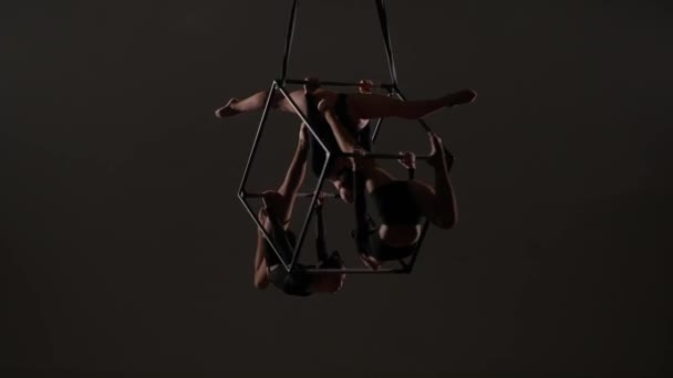 Modern Koreografi Och Akrobatik Kreativ Reklam Koncept Porträtt Kvinnliga Akrobater — Stockvideo