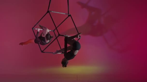 現代の振付とアクロバットクリエイティブ広告コンセプト 女性のアクロバットの肖像画は カラフルな背景を隔離しました 女の子空想家ダンサーデュオはロープでキューブで空中で移動する — ストック動画