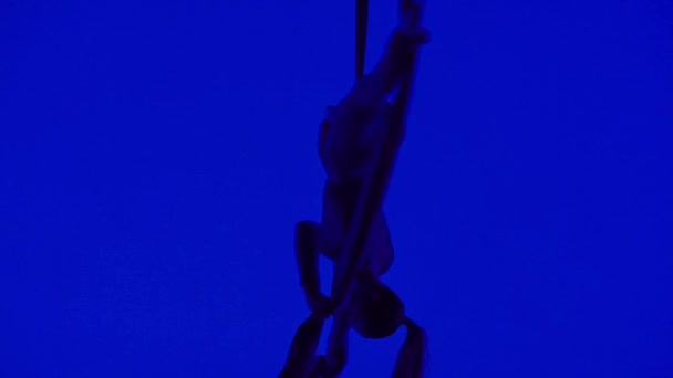 现代编舞和杂技创意广告的概念 蓝色霓虹灯背景下的女性艺术家的轮廓 女子空中舞蹈演员在空气绸缎上旋转 近距离观察 — 图库视频影像
