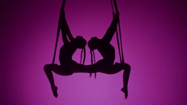 Modern Koreografi Och Akrobatik Kreativ Reklam Koncept Silhuett Två Kvinnliga — Stockvideo