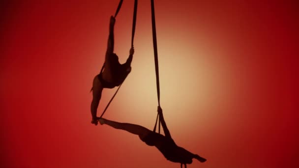 Modern Koreografi Och Akrobatik Kreativ Reklam Koncept Silhuett Två Kvinnliga — Stockvideo