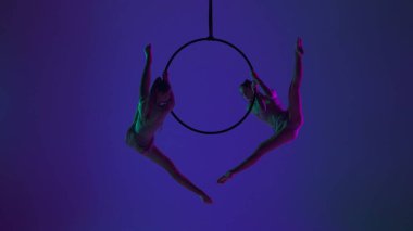 Modern koreografi ve akrobasi yaratıcı reklam konsepti. Mavi neon stüdyo arka planında iki kadın jimnastikçi izole edilmiş. Kızlar hava dansçıları siluetleri halkada parçalanmış halkalar gösteriyor..