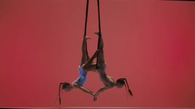 Modern koreografi ve akrobasi yaratıcı reklam konsepti. Kırmızı stüdyo arka planında izole edilmiş kadın jimnastik ikilisi. Kız dansçılar kayışlarla akrobatik trapezde dönüyorlar..