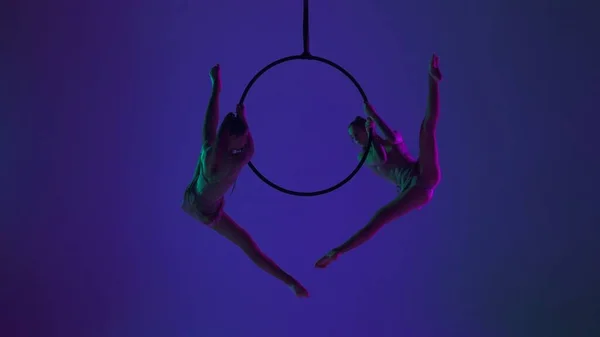 现代编舞和杂技创意广告的概念 两名女体操运动员被隔离在蓝色霓虹灯工作室的背景下 女孩空中舞者的轮廓在环上显示出分裂的元素 有带子 — 图库照片