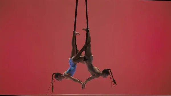 Modern Choreography Acrobatics Creative Advertisement Concept Female Gymnastic Duo Isolated — Stock Photo, Image