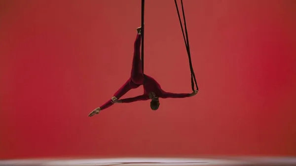 现代编舞和杂技创意广告的概念 女体操运动员被隔离在红色的工作室背景下 身披紧身衣 身披杂技服 身带表演元素的女子空中舞者 — 图库照片