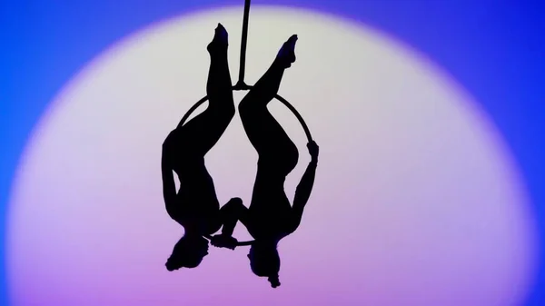 现代编舞和杂技创意广告的概念 两名女体操运动员在蓝色霓虹灯工作室背景下与聚光灯隔离 女孩空中舞者带着带子戴在戒指上的轮廓 — 图库照片