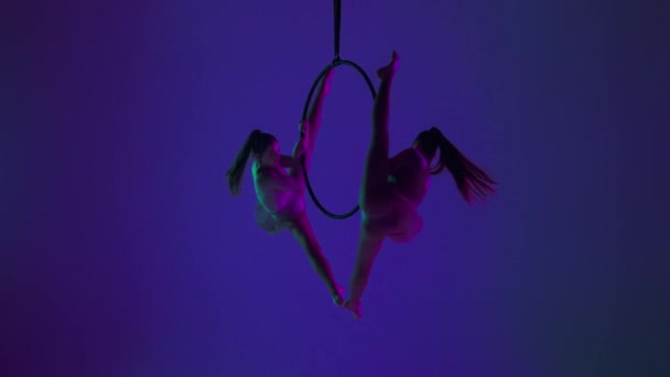 現代の振付とアクロバットクリエイティブ広告コンセプト ブルーネオンスタジオで隔離された2人の女性ジムナスト 少女空中ダンサーシルエットはストラップ付きリング上の分割要素を示しています — ストック動画