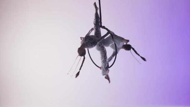 現代の振付とアクロバットクリエイティブ広告コンセプト 紫色のネオンスタジオの背景に隔離された女性のジムナスト ガールズデュオ空中ストラップでリングで踊る空中ダンサー — ストック動画