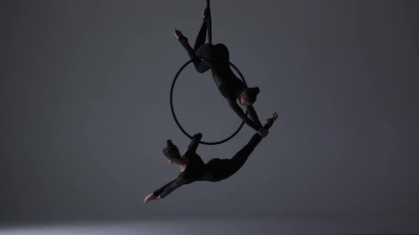 現代の振付とアクロバットクリエイティブ広告コンセプト グレースタジオの背景に孤立した2人の女性ジムナスト ストラップ付きリングに静的なアクロバット要素を示す女の子の空中ダンサー — ストック動画