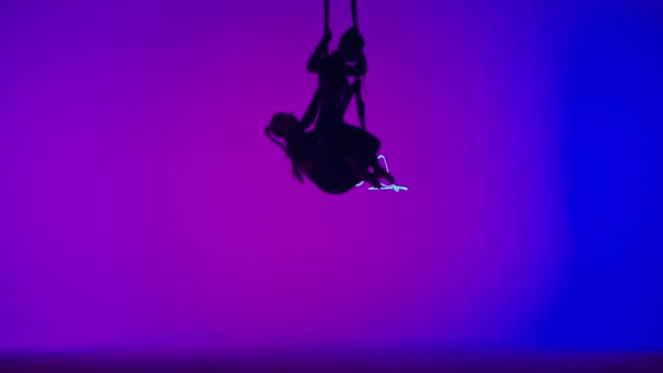 現代の振付とアクロバットクリエイティブ広告コンセプト レーザーブルーネオンスタジオのバックグラウンドで隔離された女性体操デュエット ストラップで体操トラップで飛ぶ少女空中ダンサー — ストック動画
