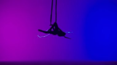 Modern koreografi ve akrobasi yaratıcı reklam konsepti. Pembe mavi neon stüdyo arka planında izole edilmiş kadın jimnastikçi. Kız hava dansçısı jimnastik trapezi ile kayışları dengeliyor..